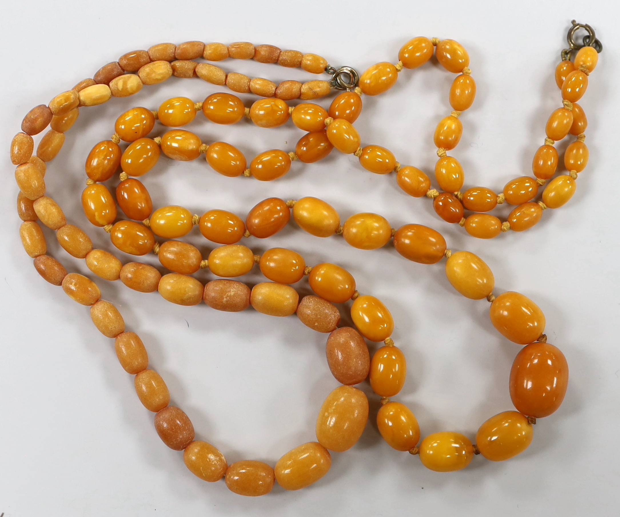 Two single strand graduated oval amber bead necklaces, longest 80cm, gross weight 71 grams.